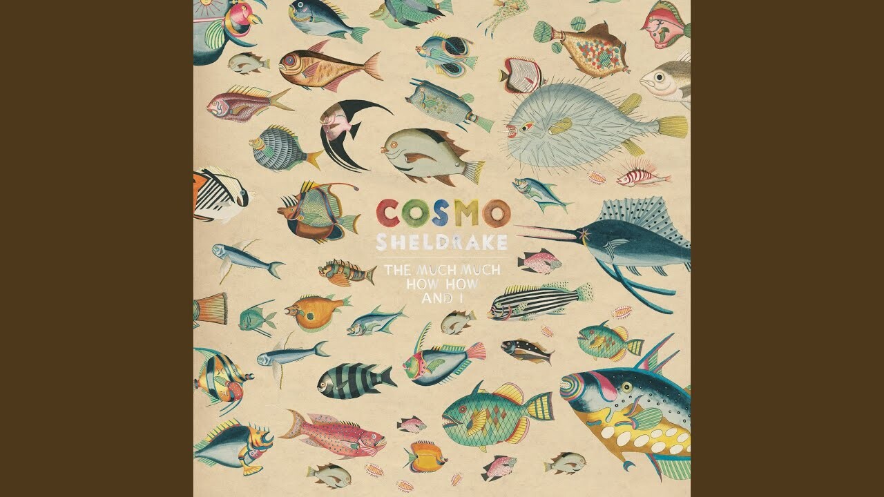 Cosmo sheldrake come. Cosmo Sheldrake Постер. Come along Cosmo Sheldrake. Винил Cosmo Sheldrake. Cosmo Sheldrake wriggle.