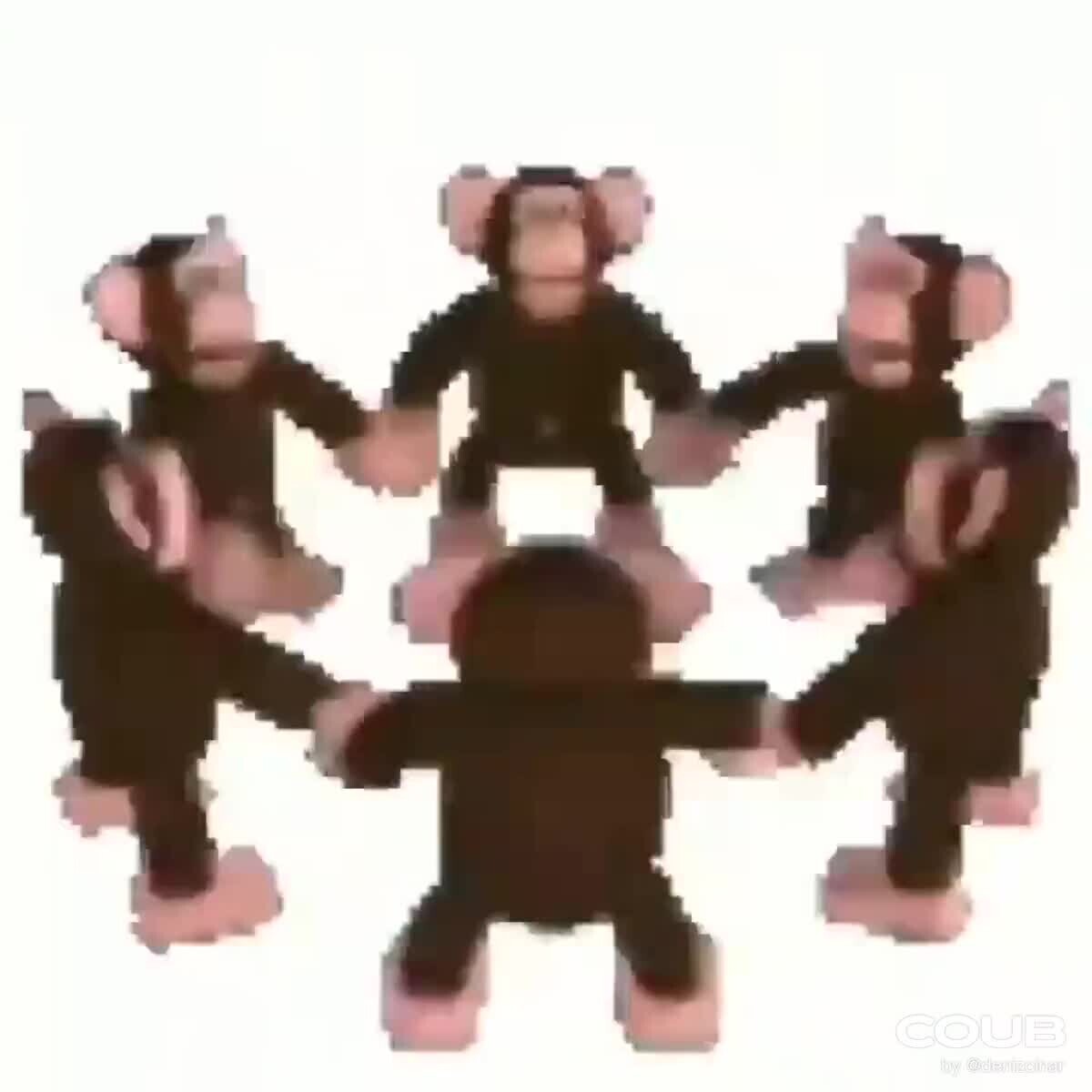 Monkey circle